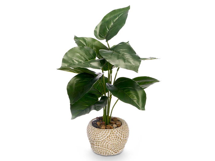 Ibergarden Maceta Planta Hoja Punta 21 x 40 x 21 cm Plastique Gris Vert (Set de 8)