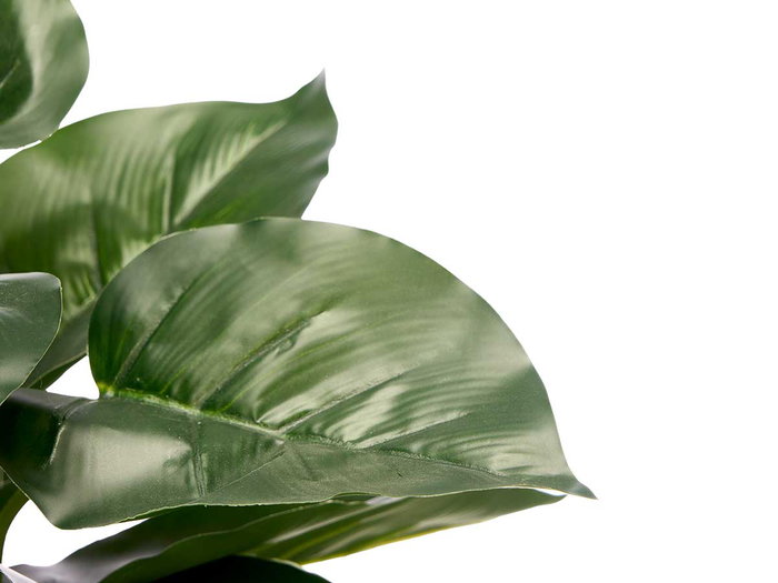 Ibergarden Maceta Planta Hoja Punta 21 x 40 x 21 cm Plastique Gris Vert (Set de 8)