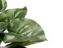 Ibergarden Maceta Planta Hoja Punta 21 x 40 x 21 cm Plastique Gris Vert (Set de 8)