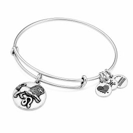 Alex And Ani Bracelet LEO3 finition vieillie Gris