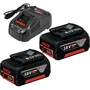 Bosch Professional Set de Démarrage - 2 Batteries GBA 18V 5.0Ah + Chargeur Rapide GAL 1880 CV (1600A00B8J)
