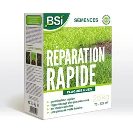 BSI Semences à gazon pour réparation rapide avec enrobage protecteur - Qualité supérieure - Ray-grass anglais - Couvre 75 à 125 m² - 2,5 kg