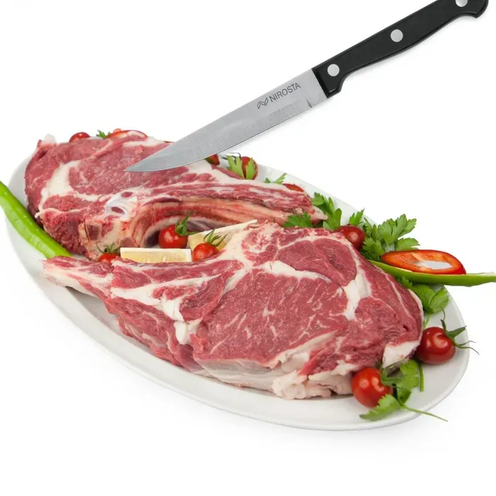 Nirosta Lot de 6 couteaux à steak Mega 21 cm - Acier inoxydable, lame 11.5 cm, manche ergonomique POM pour découpe précise viandes et pizzas