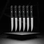Nirosta Lot de 6 couteaux à steak Mega 21 cm - Acier inoxydable, lame 11.5 cm, manche ergonomique POM pour découpe précise viandes et pizzas