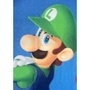 Mario Bros Plaid polaire Mario et Luigi, 100 x 140 cm