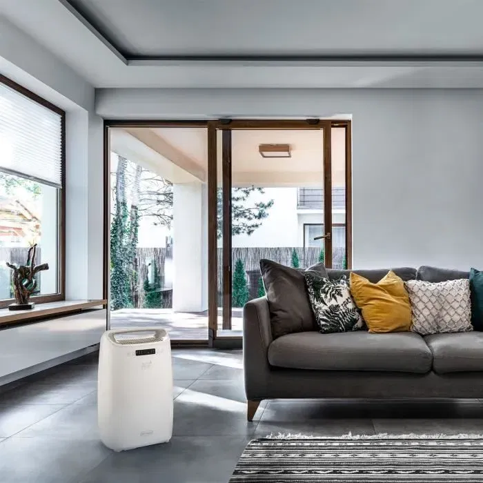 De'Longhi Déshumidificateur DEXD214RF, 2.1 L, pour pièces jusqu'à 65 m³, débit d'air 125 m³/h