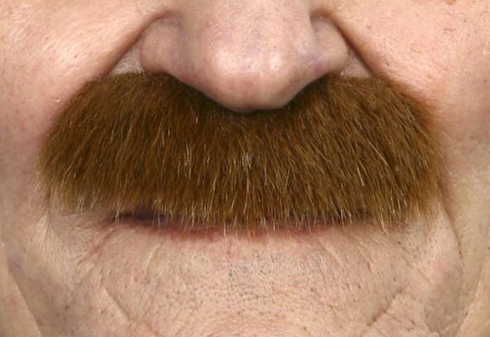 My Other Me - Bigote adulto pelirrojo - Moustache adulte rousse taille unique - Multicolor - Langues: espagnol, anglais, français, italien, portugais, allemand My Other Me - Bigote adulto pelirrojo - Moustache adulte rousse taille unique - Multicolor - Langues: espagnol, anglais, français, italien, portugais, allemand