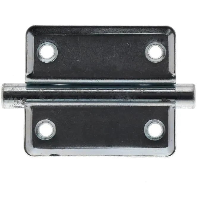 Burg Wachter Targette GR 70 SB en Acier Galvanisé, Résistante aux Intempéries pour Porte et Portail