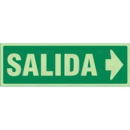 DUVER 1017 Signalisation Plastique 297x105 Sortie Droite Lumineuse