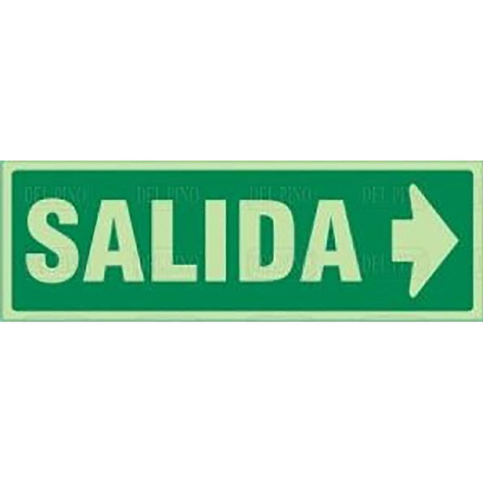 DUVER Señal 1017 - Plaque de signalétique en plastique 297x105 mm 'Sortie' Droit Lumineux, avec inscription DUVER Señal 1017 - Plaque de signalétique en plastique 297x105 mm 'Sortie' Droit Lumineux, avec inscription