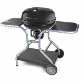 Fieldmann FZG 1014 Barbecue au charbon de bois portable en acier noir