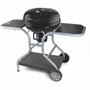Fieldmann FZG 1014 Barbecue au charbon de bois portable en acier noir