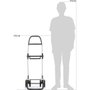 Rolser Chariot de courses i-max MF pliable 4 roues noir aluminium 43L