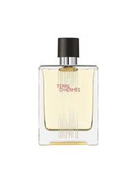 Hermes Terre d'Hermes Flacon H Limited Edition Eau de Toilette 100 ml