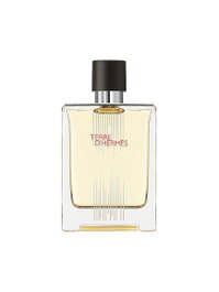 Hermes Terre d'Hermes Flacon H Limited Edition Eau de Toilette 100 ml