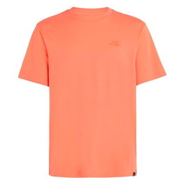 T-shirt à manches courtes homme O'Neill Small Logo Orange XL