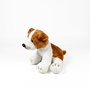 Deqube Peluche Jack Russell Terrier Assis 12cm avec Licence Bocalan
