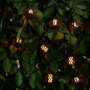 Outfit Guirlande LED 8 lumières solaire avec 80 LEDs blanc chaud