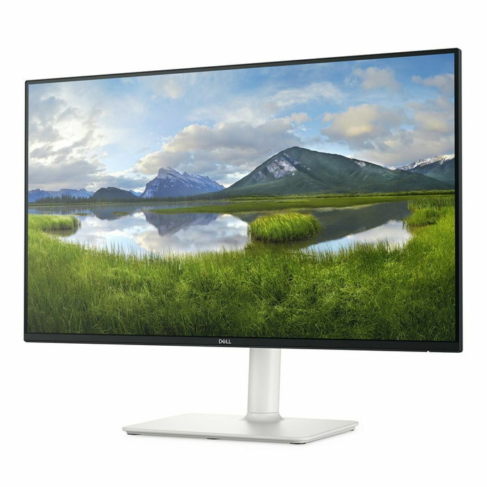 Dell S2425HS 23,8 pouces Full HD IPS 100Hz Argent/Noir Dell S2425HS 23,8 pouces Full HD IPS 100Hz Argent/Noir