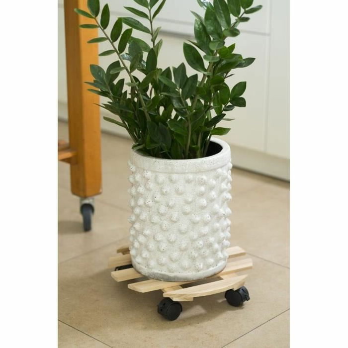 Nature Tablette à roulettes pour plantes - Sapin - Jaune