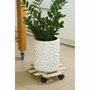 Nature Tablette à roulettes pour plantes - Sapin - Jaune