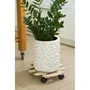 Nature - Tablette à roulettes pour plantes en sapin - Dimensions : Hauteur 74 cm x Diamètre 35 cm