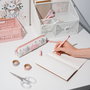 Bonjour Marie Set de papeterie Les Aristochats Disney - Porte-tout avec stylo et crayon - 24,2x8,8x4,8 cm - Poids 103 g