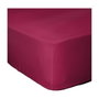 Lovely Home Drap-housse LH71613 Fuchsia 90x190+30 cm