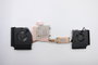 Lenovo Intel Thermal Module FAN+Heatsink Ventilateur et Dissipateur pour ThinkPad P53, Refroidissement Haute Performance