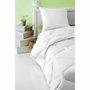 Abeil Lot de 2 Oreillers Bio'Mouv 60 x 60 cm en Coton Bio Blanc