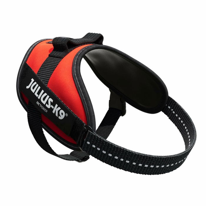 Harnais pour Chien Julius K9 IDC Rouge S - Mini