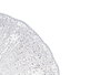 Vivalto Bowl en cristal Rio 30,5 cm transparent (Set de 4)