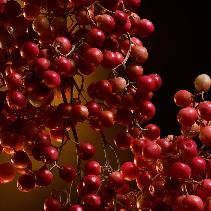 Dolce & Gabbana The One Eau de Parfum Intense Vaporisateur 75 ml pour Femme - Parfum Floral Ambré Audacieux