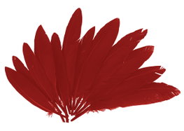 Innspiro Plumes indio rouge 60 unités