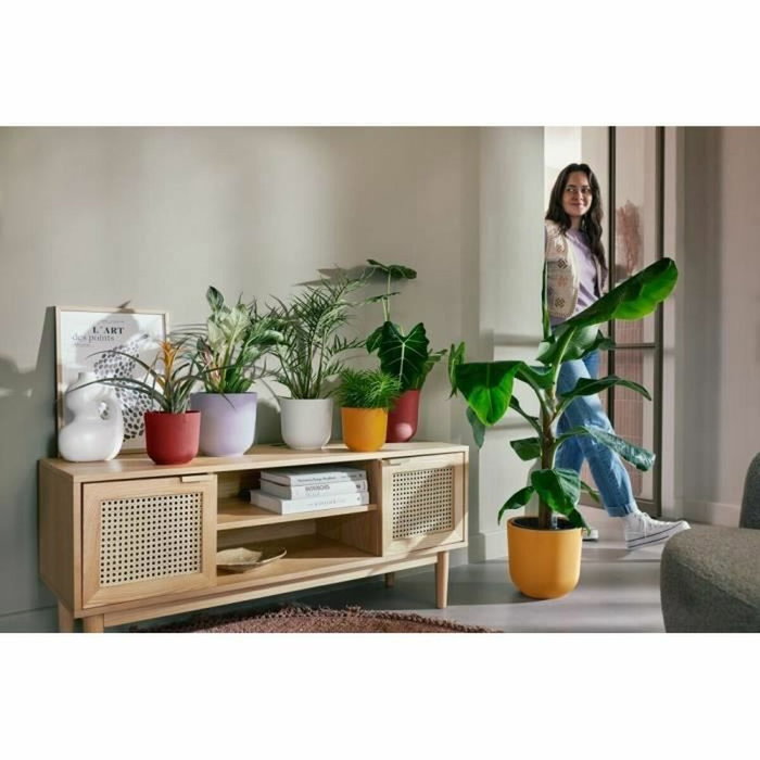 Elho Lot de 3 pots de fleurs Jazz ronds - Lila et Blanc