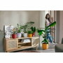 Elho Lot de 3 pots de fleurs Jazz ronds - Lila et Blanc