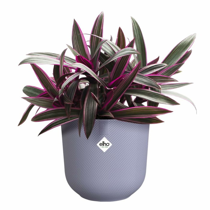 Elho Lot de 3 pots de fleurs Jazz ronds - Lila et Blanc