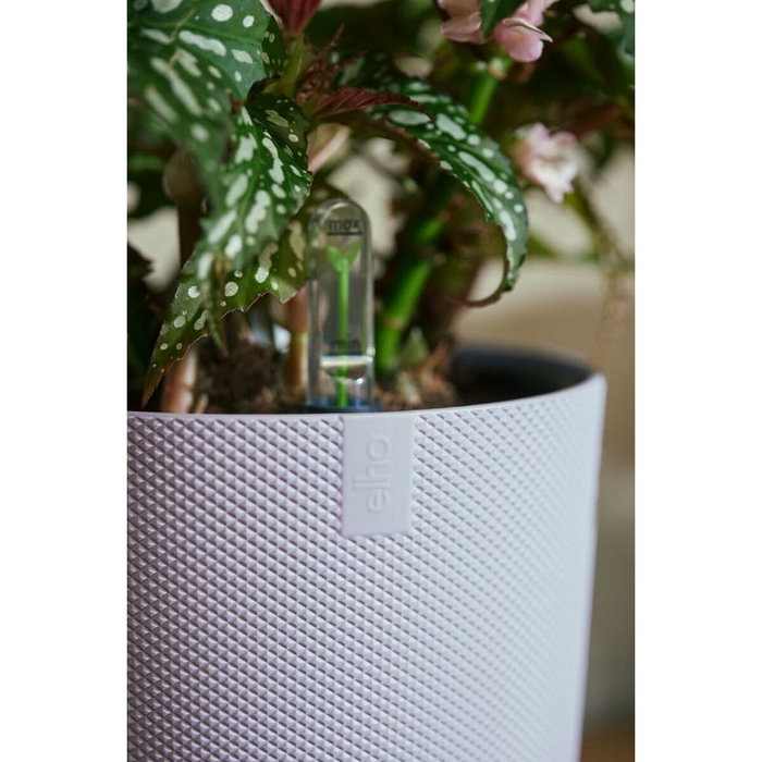Elho Lot de 3 pots de fleurs Jazz ronds - Lila et Blanc