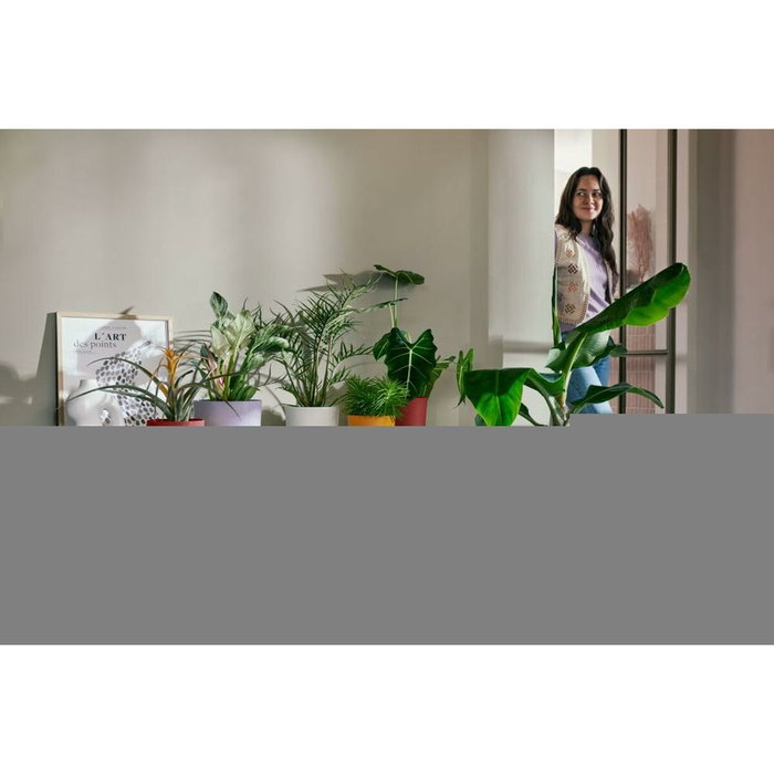 Elho Lot de 3 pots de fleurs Jazz ronds - Lila et Blanc