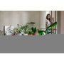 Elho Lot de 3 pots de fleurs Jazz ronds - Lila et Blanc
