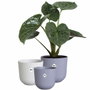 Elho Lot de 3 pots de fleurs Jazz ronds - Lila et Blanc