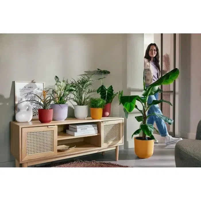 ELHO Pot de fleurs d'intérieur rond Jazz - Lot de 3 - 7 L - Motif délicat - Couleurs Lila et Blanc - Matériaux 100% recyclés