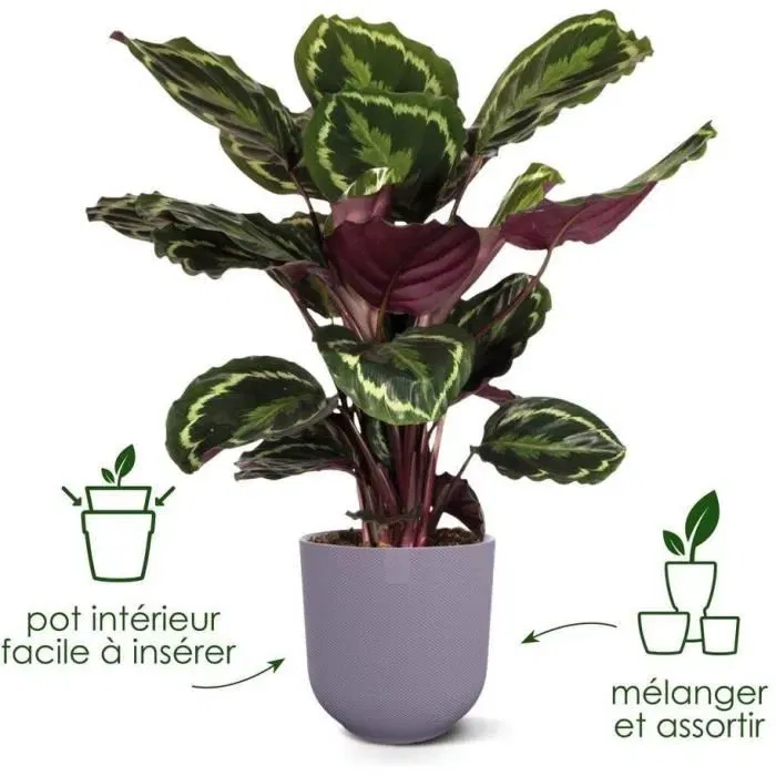 ELHO Pot de fleurs d'intérieur rond Jazz - Lot de 3 - 7 L - Motif délicat - Couleurs Lila et Blanc - Matériaux 100% recyclés