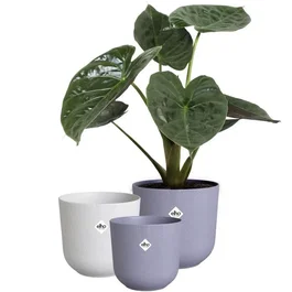 ELHO Pot de fleurs d'intérieur rond Jazz - Lot de 3 - 7 L - Motif délicat - Couleurs Lila et Blanc - Matériaux 100% recyclés