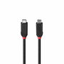 Câble USB-C vers USB-C LINDY Noir 2 m
