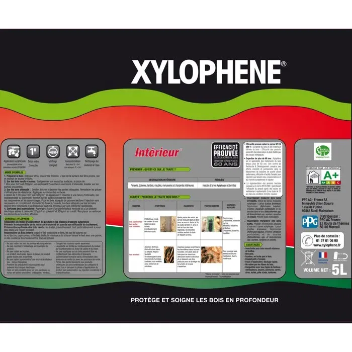 Xylophene Traitement Bois et Parquets Intérieurs Incolore 5 Litres - Anti Termites, Insectes Xylophages et Champignons