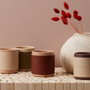 Home Deco Factory Bougie Parfumée aux Quatre Éléments