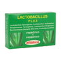 Integralia Lactobacillus Plus 60 capsules