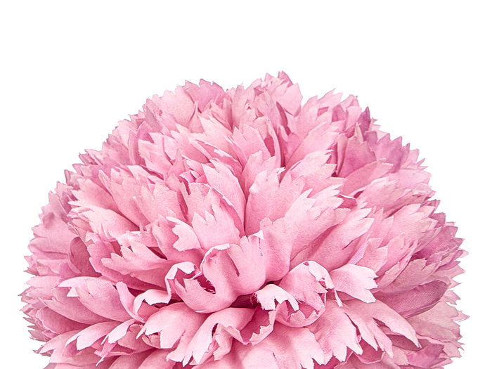 Ibergarden Vara Ramo 5 Pompones Rose avec Tige 57 cm Plastique Vert 20x20 cm (Set de 12)