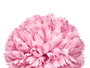 Ibergarden Vara Ramo 5 Pompones Rose avec Tige 57 cm Plastique Vert 20x20 cm (Set de 12)